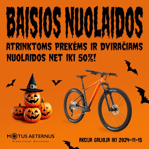 Baisios nuolaidos!