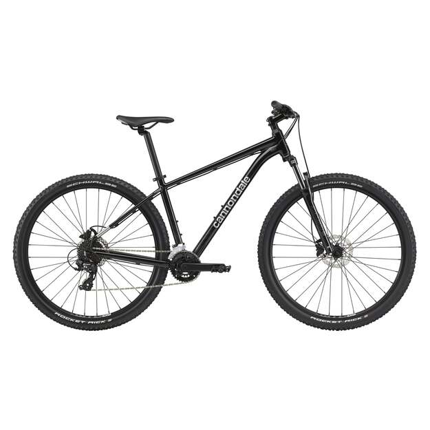 Dviratis CANNONDALE TRAIL 29  8 /XS-S 27,5  M-XL 29 / (C26851M10/GRY)