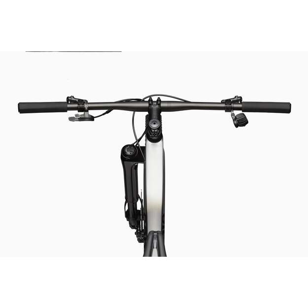 Dviratis CANNONDALE SCALPEL HT CARBON 1 (C25103U10/MRC)