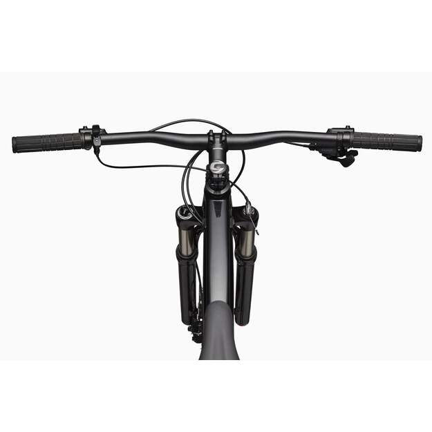 Dviratis CANNONDALE TRAIL 29  SL 4 (C26452M10/GRY)