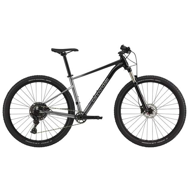 Dviratis CANNONDALE TRAIL 29  SL 4 (C26452M10/GRY)