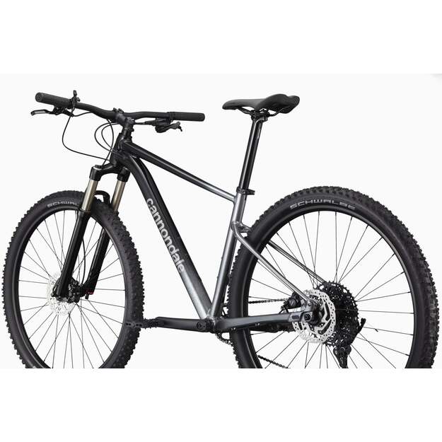 Dviratis CANNONDALE TRAIL 29  SL 4 (C26452M10/GRY)