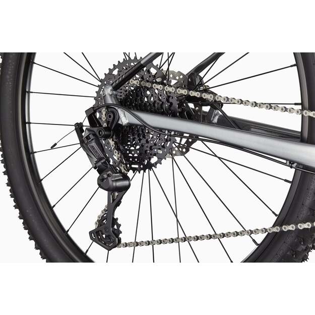 Dviratis CANNONDALE TRAIL 29  SL 4 (C26452M10/GRY)