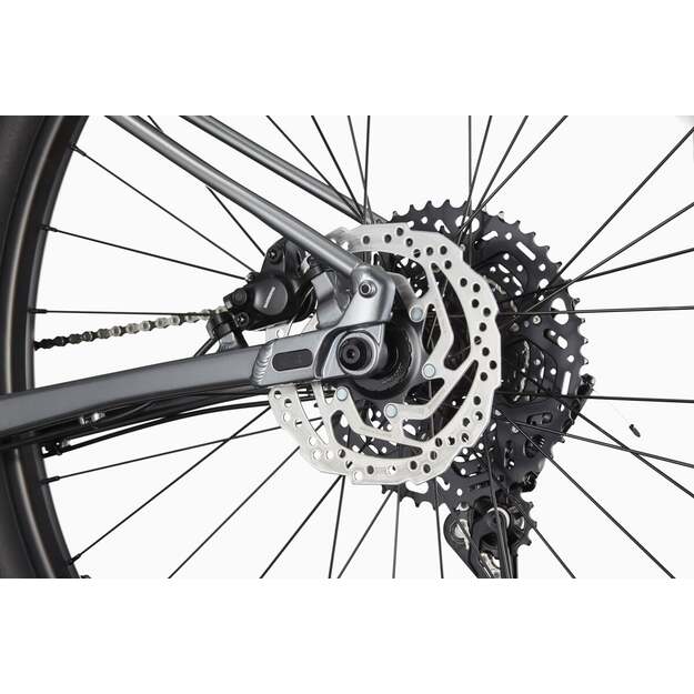 Dviratis CANNONDALE TRAIL 29  SL 4 (C26452M10/GRY)