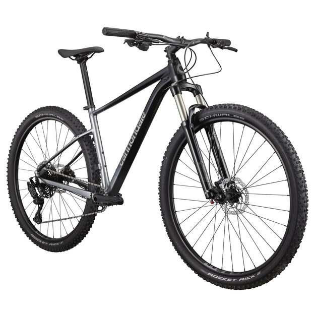 Dviratis CANNONDALE TRAIL 29  SL 4 (C26452M10/GRY)