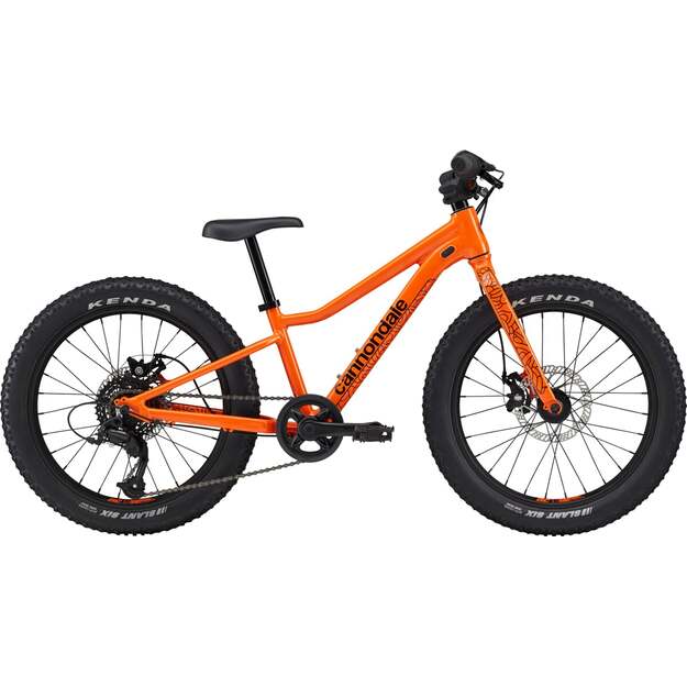 Vaikiškas dviratis CANNONDALE KIDS TRAIL PLUS 20  (C51152U10/ORG)