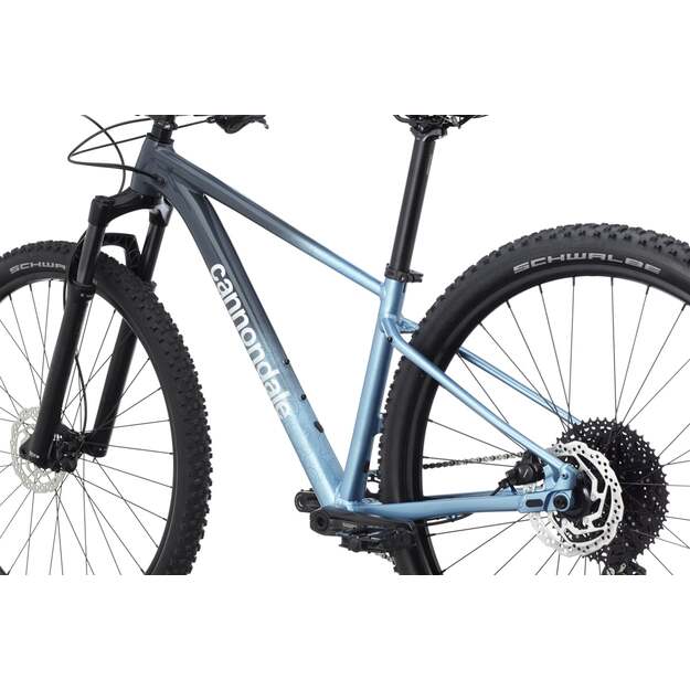 Dviratis CANNONDALE TRAIL 29  SL 3 WOMENS (C26151F10/SLT)