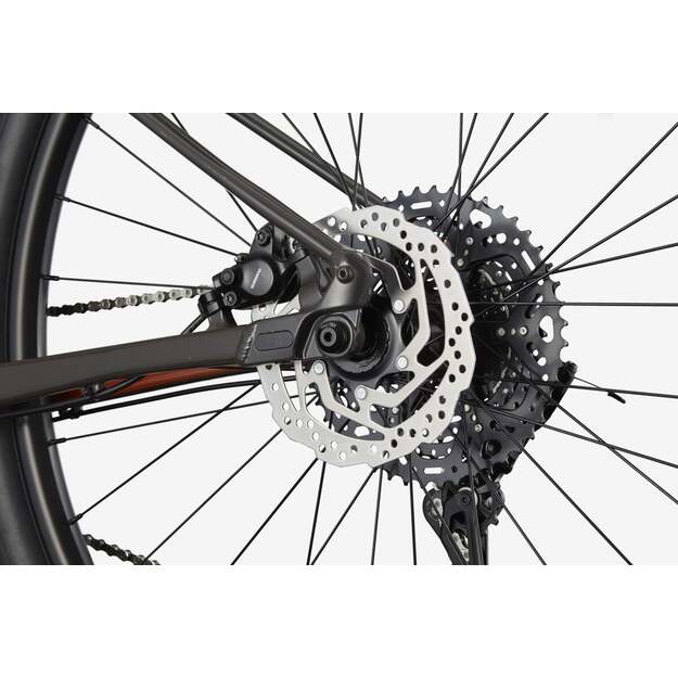 Dviratis CANNONDALE TRAIL 29  SL 4 (C26452M20/ORG)