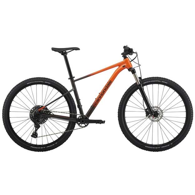 Dviratis CANNONDALE TRAIL 29  SL 4 (C26452M20/ORG)