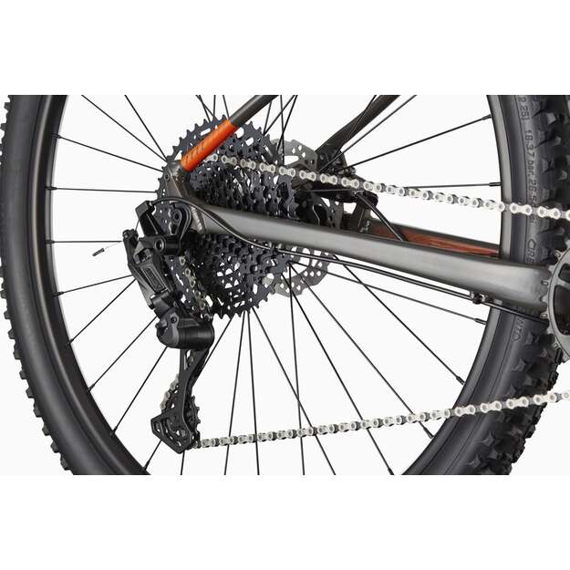 Dviratis CANNONDALE TRAIL 29  SL 4 (C26452M20/ORG)