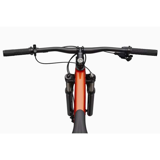 Dviratis CANNONDALE TRAIL 29  SL 4 (C26452M20/ORG)