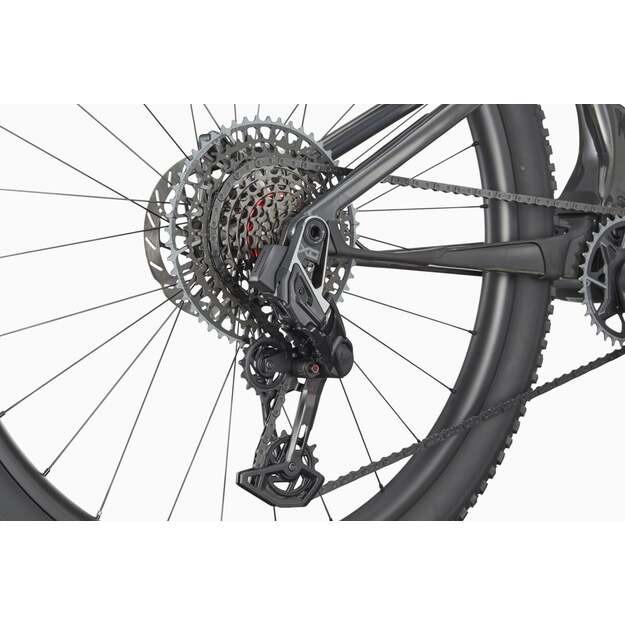 Pilnos amortizacijos dviratis CANNONDALE SCALPEL 29  CARBON 1 (C24203U10/RAW)