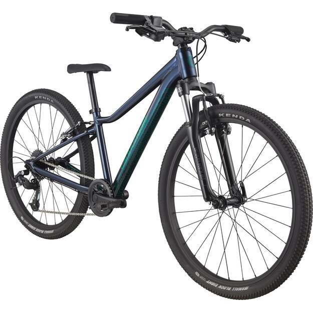 Vaikiškas dviratis CANNONDALE TRAIL 24  (C51602U10/MDN)