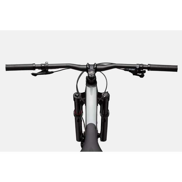 Pilnos amortizacijos dviratis CANNONDALE HABIT 3 (C23301U10/GRY)