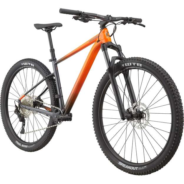 Dviratis CANNONDALE TRAIL 29  SE 3 (C26301M10/IOR)