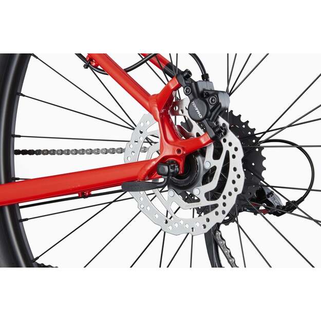 Dviratis CANNONDALE TRAIL 29  7 /XS-S 27,5  M-XL 29 / (C26751M30/RRD)