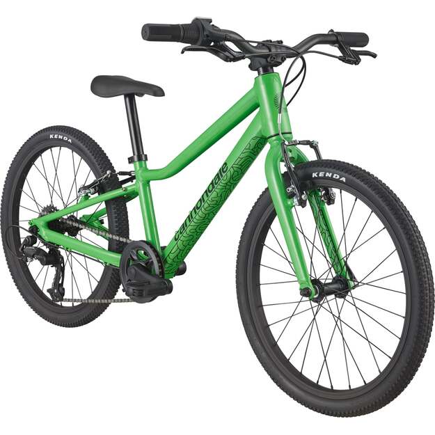 Vaikiškas dviratis CANNONDALE QUICK 20  (C51752U30/GRN)