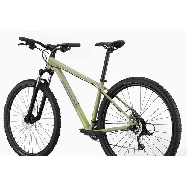 Dviratis CANNONDALE TRAIL 29  8 /XS-S 27,5  M-XL 29 / (C26851M30/QSD)