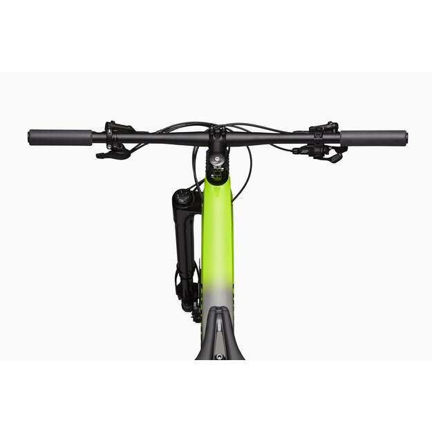 Pilnos amortizacijos dviratis CANNONDALE SCALPEL 29  Carbon 2 (C24301M30/SGY)