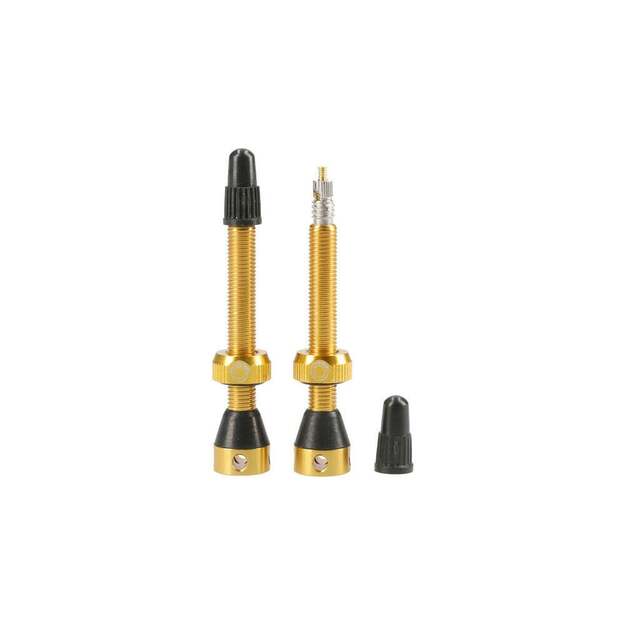 TUBOLIGHT GOLD VALVES PAIR (VVGLD)